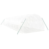 Greenhouse with Steel Frame White 36 m 12x3x2 m 3188054