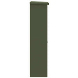 Parcel Drop Box Olive green 44.5 x 29 x 110.5 cm Steel 874929