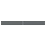 Retractable Side Awning Anthracite 117x1200 cm 318056