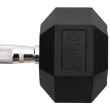 Dumbbell 25 kg Cast Iron 93610