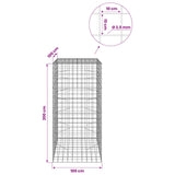 Gabion with 3.5 mm Wire and 10x10 cm Mesh 100x100x200 cm 3463436