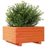 Garden Planter Wax Brown 50x50x26.5 cm Solid Wood Pine 847295