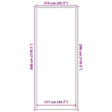 Doormat Black 115x300 cm 4105565