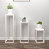 3 Piece Plant Stand Set White Solid Wood Pine 822268