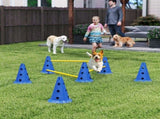 Dog Agility Equipment Set of Eight Cones 73892125