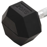Dumbbell 20 kg Cast Iron 93608