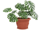 Plant Pots 24 pcs Brick Red 34 x 28 cm Plastic 3403283