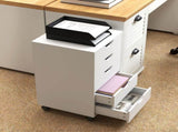 5 Drawer Mobile Filing Cabinet, Vertical File Cabinet, Modern Rolling Office Storage Organizer T3398P344172