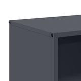 Firewood Rack Anthracite 40x30x75 cm Cold-rolled steel 864193