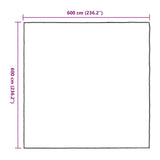 Clear Tarpaulin with Eyelets 6x6 m Polyethylene 4018573