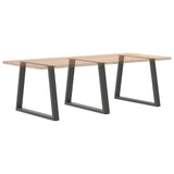 Dining Table Legs V-Shape 3 pcs Anthracite 100x cm Steel 4012598