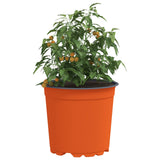 Flower Pot 200 pcs Terracotta 15 x 13 cm Plastic 42029489