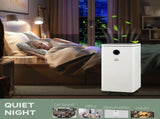 10L/Day Dehumidifier with 2.5L Water Tank, Digital Display, Intelligent & Sleep Mode, 24H Timer, T3398P378787