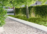 Lawn Edging 10 pcs 103 x 30 cm Steel White 8008408