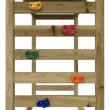 ZNTS Outdoor Playset Impregnated Wood Pine 3156981