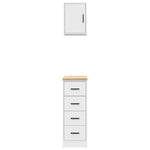 ZNTS Garage Cabinets 2 pcs White Engineered Wood 3328314