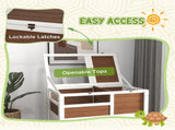 Tortoise House 84375219