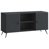 TV Cabinet Black 102 x 34.5 x 50 cm Engineered Wood 895616