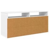 Lowboard with Drawer White 102 x 32 x 48.5 cm 8000588