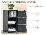 Rolling Storage Cabinet 3-Tier Mobile File Cabinet with Wheels & Metal Doors for Home Office, Living T3398P328285