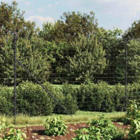 Wire Mesh Fence with Spike Anchors Anthracite 2.2x10 m 154279