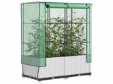 Raised Bed with Greenhouse Cover Rattan Look 80x40x138 cm 4015842