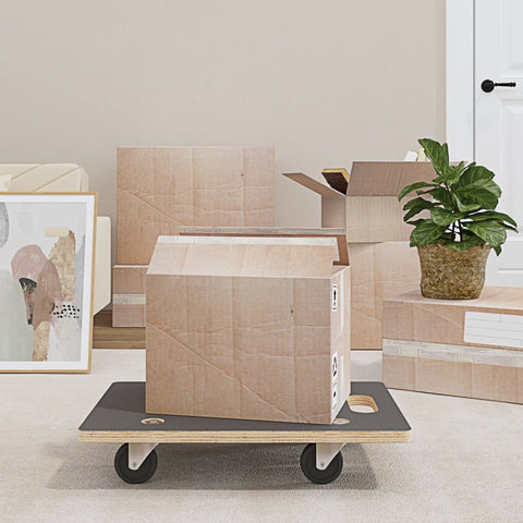 Transport Trolleys 2 pcs Rectangular 60x40x11.5 cm 154890