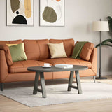 Coffee Table Legs A-Shaped 2 pcs Anthracite 50x cm Steel 4012834