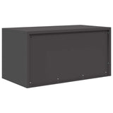 Storage Cabinet Black 80 x 40 x 40 cm Steel 891670
