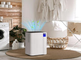 12L/Day Dehumidifier, with Filter - White T3398P423070