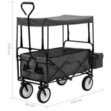 Folding Hand Trolley with Canopy Steel Grey 145512