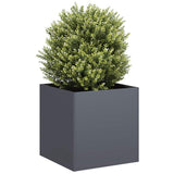 ZNTS Planter Anthracite 40x40x40 cm Cold-rolled Steel 860663