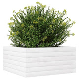 Garden Planter White 50x50x23 cm Solid Wood Pine 847184