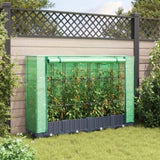 ZNTS Raised Bed with Greenhouse Cover Rattan Look 160x40x123 cm 4015826