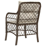Garden Chairs with Cushions 2 pcs Brown Poly Rattan 365154