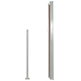 Patio Retractable Side Awning 160x300 cm Brown 317885