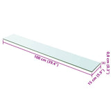 Shelves 2 pcs Panel Glass Clear 100x15 cm 3051583