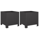 ZNTS Garden Planters 2 pcs Black 30x30x30 cm Steel 851186