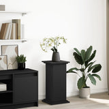 Display Stand with Storage Black 31x30x60 cm Engineered Wood 854617