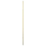 Wall Mirror Gold 80x50 cm 348220
