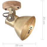 320509 Industrial Wall/Ceiling Lamps 2 pcs Brass 20x25 cm E27
