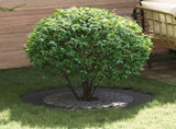suitable for Flat Tree Rings 5 pcs Black 60 / 90 cm Steel 873705