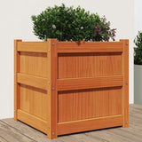 Garden Planter Wax Brown 50x50x50 cm Solid Wood Pine 837418