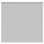 ZNTS Roller Blind Blackout Light Grey 165x175 cm Fabric Width 161.6 cm Polyester 4011427