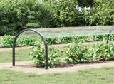 Plant Cover Transparent 6 x 1.5 m PVC 3429368