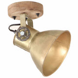 320509 Industrial Wall/Ceiling Lamps 2 pcs Brass 20x25 cm E27