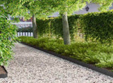 Lawn Edging 30 pcs 103 x 15 cm Steel Black 8008646