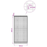 Gabion with 3.5 mm Wire and 5x10 cm Mesh 100x50x200 cm 3462860