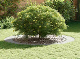 suitable for Flat Tree Ring White 90 / 120 cm Steel 873720