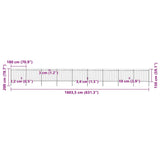 Garden Fence with Spear Top Steel 1603.5x150 cm Black 277637